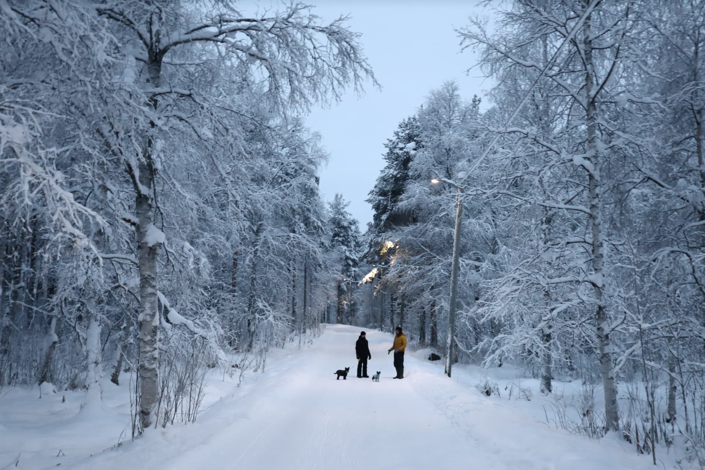 Norway photo 1
